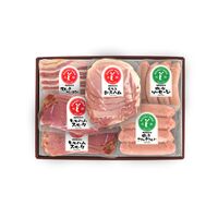 岐阜 「キッチン飛騨」 ハム・ソーセージ5種 詰合せ / 冷凍 送料無料