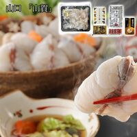 山口 「山賀」 トラフグちりとトラフグ焼き塩造り / ふぐ フグ 冷凍 送料無料