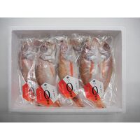 山口 「山賀」 のどぐろ開き0℃熟成干し 4尾セット / 冷凍 送料無料