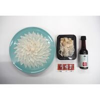 山口 「山賀」 天然トラフグ刺身セット / ふぐ フグ 冷凍 送料無料