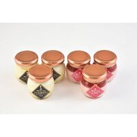 北海道 十勝ブラウンスイス プレミアムプリンセット 2種×各3個 / 冷凍 送料無料