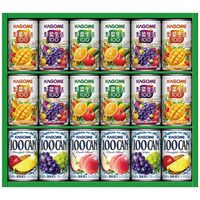 カゴメ すこやかファミリーギフト（野菜生活100(オリジナル・ベリーサラダ・マンゴーサラダ各4缶)・100CAN(ピーチブレンド・パインアップルブレンド・グレープ各2缶)） KSR-25H 1216-052 / 常温 送料無料 ジュース セット