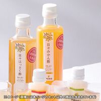 伊藤農園 日々かんきつ酢詰合せ(みかん4本・しらぬい・はっさく各2本) vi-8g 1217-042 / 常温 送料無料