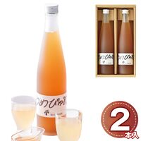 伊藤農園 うめぴゅあシロップ2本セット 500ml×2本 1101 1217-054 / 常温 送料無料 梅シロップ 南高梅