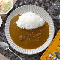 【倉入れ】リトルスプーン北海道熟成カレー （ケース入数：24, ロット：1） / カレー レトルト 常温 送料無料