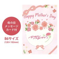 【母の日】 山口魚急便 K-1 1851-034 【二重包装不可】《お届け期間：2026年5月8日～2026年5月10日》 / 冷凍 送料無料 セット ギフト