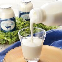 【母の日】 ヤスダヨーグルトギフト G1950 1851-438 【二重包装不可】《お届け期間：2026年5月8日～2026年5月10日》 / 冷蔵 送料無料 セット ギフト ヨーグルト