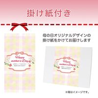 【母の日】 ヤスダヨーグルトフローズンギフト G1957 1851-440 【二重包装不可】《お届け期間：2026年5月8日～2026年5月10日》 / 冷凍 送料無料 セット ギフト ヨーグルト