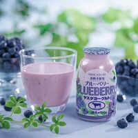 【母の日】 ヤスダヨーグルトギフト S2466 1851-476 【二重包装不可】《お届け期間：2026年5月8日～2026年5月10日》 / 冷蔵 送料無料 セット ギフト ヨーグルト