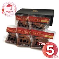 【母の日】 2段仕込みハンバーグ詰合せ 5個 HBK-A 1851-779 【二重包装不可】《お届け期間：2026年5月8日～2026年5月10日》 / 冷凍 送料無料 セット ギフト ハンバーグ