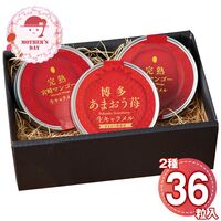 【母の日】 あまおう苺&宮崎完熟マンゴー 生キャラメル詰合せ 3708-35 1852-579 【二重包装不可】《お届け期間：2026年5月8日～2026年5月10日》 / 常温 送料無料 セット ギフト 生キャラメル