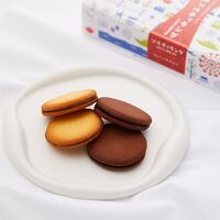 【倉入れ】コウベノオモイデ 神戸ソルティーラング アソート 10枚入り（ケース入数：26,ロット：1） / 常温 送料無料 クッキー ラングドシャ 神戸