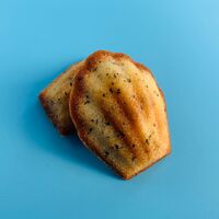 【倉入れ】コウベノオモイデ 神戸ひとくちマドレーヌ 12個（ケース入数：30,ロット：1） / 常温 送料無料 マドレーヌ 神戸