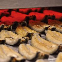 完全無投薬 鹿児島県産うなぎ蒲焼 約140g×2（タレ、山椒付） / 国産 ウナギ 鰻 冷凍 送料無料