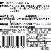 さくらんぼジャム 南陽 業務用 480g×16個 / 常温 送料無料 さくらんぼ ジャム 北海道