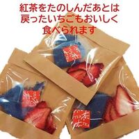 いちごのフルーツティー 5個セット / 常温 送料無料 紅茶 ギフト 国産