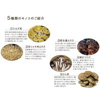 炊き込みご飯の素 きのこご飯の素 2袋 / 常温 送料無料 炊き込みご飯