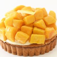 鬼盛りマンゴータルト5号 / 冷凍 送料無料 タルト ケーキ スイーツ ギフト プレゼント