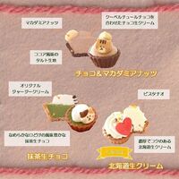 【バレンタイン限定】ねこみにタルトセット 9個入 / 冷凍 送料無料 タルト ケーキ スイーツ ギフト プレゼント ネコ 猫