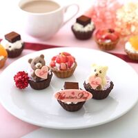 【バレンタイン限定】ミニタルトセット 9個入 / 冷凍 送料無料 タルト ケーキ スイーツ ギフト プレゼント