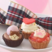 【祝！誕生日】ねこみにタルトセット 9個入 冬フレーバー / 冷凍 送料無料 タルト ケーキ スイーツ ギフト プレゼント ネコ 猫