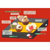 【祝！誕生日】ねこみにタルトセット 9個入 冬フレーバー / 冷凍 送料無料 タルト ケーキ スイーツ ギフト プレゼント ネコ 猫