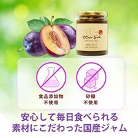 やさしいジャム プルーン 3個セット / 常温 送料無料 ジャム セット ギフト 国産 無添加