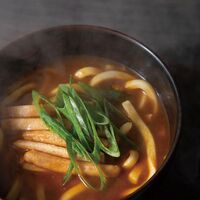 【母の日】 ブランド和牛カレー×讃岐うどん 2人前 5676-30c 1852-721 【二重包装不可】《お届け期間：2026年5月8日～2026年5月10日》 / 常温 送料無料 セット ギフト 神戸牛 松阪牛 カレー うどん