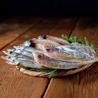 【母の日】 山陰海鮮一夜干しセット（れんこ鯛開き、沖きす丸干し丸干し、あじ開き） 6364-35 1852-783 【二重包装不可】《お届け期間：2026年5月8日～2026年5月10日》 / 冷凍 送料無料 セット ギフト 一夜干し