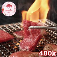 【母の日】 萬野屋 萬野和牛 焼肉モモ・ウデ（480g） 6620-100 1853-103 【二重包装不可】《お届け期間：2026年5月8日～2026年5月10日》 / 冷凍 送料無料 セット ギフト 焼き肉