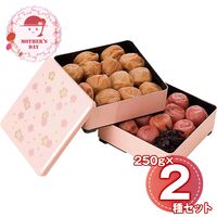 【母の日】 紀州南高梅 ～雅～（重箱仕立て） 6567-50P 1853-355 【二重包装不可】《お届け期間：2026年5月8日～2026年5月10日》 / 常温 送料無料 セット ギフト 梅干し 南高梅