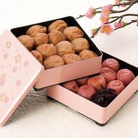 【母の日】 紀州南高梅 ～雅～（重箱仕立て） 6567-50P 1853-355 【二重包装不可】《お届け期間：2026年5月8日～2026年5月10日》 / 常温 送料無料 セット ギフト 梅干し 南高梅