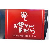 （母の日限定包装）氷温熟成煮魚焼魚ギフトセット6切 HNYG-6 1853-824 【二重包装不可】《お届け期間：2026年5月8日～2026年5月10日》 / 冷凍 送料無料 セット ギフト