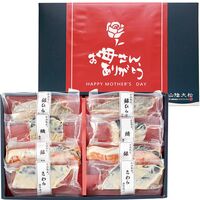 （母の日限定包装）氷温熟成西京漬けギフトセット8切 HSSK-8S 1853-850 【二重包装不可】《お届け期間：2026年5月8日～2026年5月10日》 / 冷凍 送料無料 セット ギフト