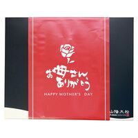 （母の日限定包装）氷温熟成煮魚焼魚ギフトセット10切 HNYG-10 1853-862 【二重包装不可】《お届け期間：2026年5月8日～2026年5月10日》 / 冷凍 送料無料 セット ギフト