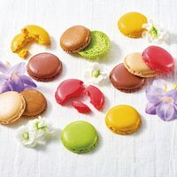 【母の日】 マカロンラスク(30枚入） MRU30 1854-054 【二重包装不可】《お届け期間：2026年5月8日～2026年5月10日》 / 常温 送料無料 セット ギフト マカロン