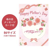 【母の日】 苺のワルツ2種ギフトM  1854-131 【二重包装不可】《お届け期間：2026年5月8日～2026年5月10日》 / 常温 送料無料 セット ギフト クッキー タルト