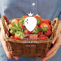 【母の日】 完熟いちごミルクプリン＆プリザーブドフラワー KJ-MPR3PRZ 1854-232 【二重包装不可】《お届け期間：2026年5月8日～2026年5月10日》 / 冷凍 送料無料 セット ギフト プリン プリザーブドフラワー