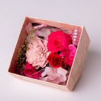 【母の日】 完熟いちごロール＆プリザーブドフラワー KJ-ROL1PRZ 1854-244 【二重包装不可】《お届け期間：2026年5月8日～2026年5月10日》 / 冷凍 送料無料 セット ギフト ロールケーキ プリザーブドフラワー