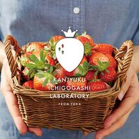 【母の日】 完熟いちごパンケーキ＆ムレスナティー KJ-PK5MT1 1854-268 【二重包装不可】《お届け期間：2026年5月8日～2026年5月10日》 / 冷凍 送料無料 セット ギフト パンケーキ 紅茶