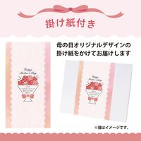 【母の日】 プチカヌレギフト DM-PC3M 1854-612 【二重包装不可】《お届け期間：2026年5月8日～2026年5月10日》 / 冷凍 送料無料 セット ギフト カヌレ