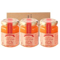 マンゴージャム3個入セット / 常温 送料無料 ギフト ジャム マンゴー