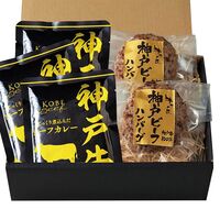 【父の日】 神戸ビーフハンバーグ＆カレー詰合せ（ハンバーグ×2、カレー×3） 3785-40 1856-135 【二重包装不可】《お届け期間：2026年6月19日～2026年6月21日》 / 冷凍 送料無料 セット ギフト ハンバーグ カレー