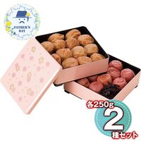 【父の日】 紀州南高梅 ～雅～（重箱仕立て） 6567-50P 1856-806 【二重包装不可】《お届け期間：2026年6月19日～2026年6月21日》 / 常温 送料無料 セット ギフト 梅干し 南高梅