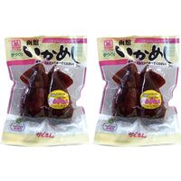 【父の日】 函館手づくりいかめしセット（2本入×2袋） APID-472-2 1857-149 【二重包装不可】《お届け期間：2026年6月19日～2026年6月21日》 / 常温 送料無料 セット ギフト いかめし 北海道