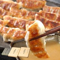 兵庫 「芦屋伊東屋」謹製 黒豚餃子2折と黒豚焼き小籠包セット / 冷凍 送料無料 ぎょうざ 点心 中華