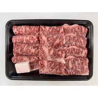 山形 米沢牛 焼肉用（サーロイン）600g / 冷凍 送料無料 牛肉 黒毛和牛 国産