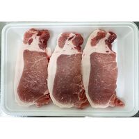 山形 天元豚 ロースとんかつ用3枚 計300g / 冷凍 送料無料 豚肉 国産