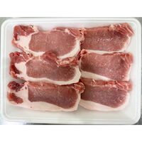 山形 天元豚 ロースとんかつ用6枚 計600g / 冷凍 送料無料 豚肉 国産