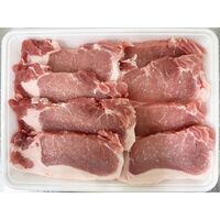 山形 天元豚 ロースとんかつ用8枚 計800g / 冷凍 送料無料 豚肉 国産